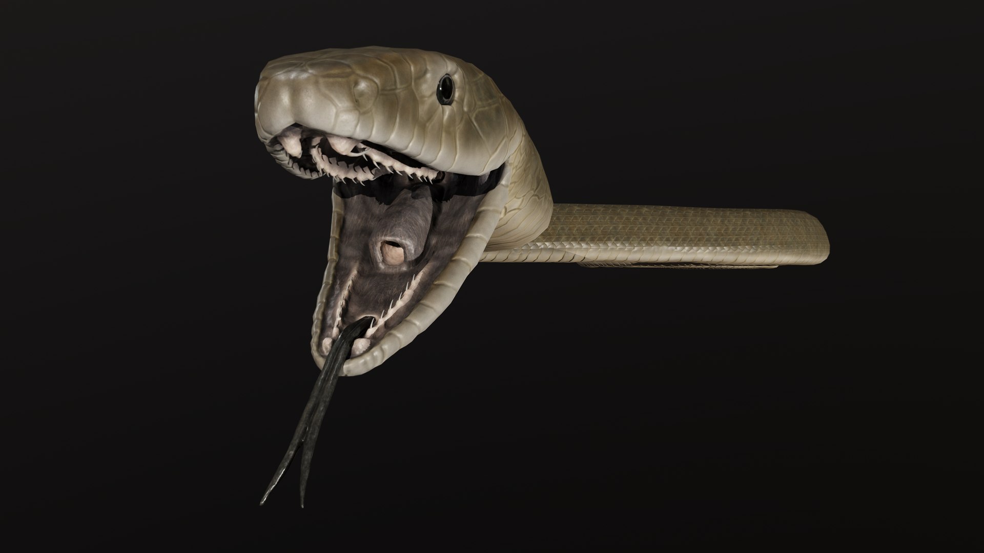 snake black mamba 3D model https://p.turbosquid.com/ts-thumb/NU/qyIRnZ/Ys/pres_3/png/1607799306/1920x1080/fit_q87/3cae6a8cc0158143c3d51f9d3516ced7a21ea9e1/pres_3.jpg