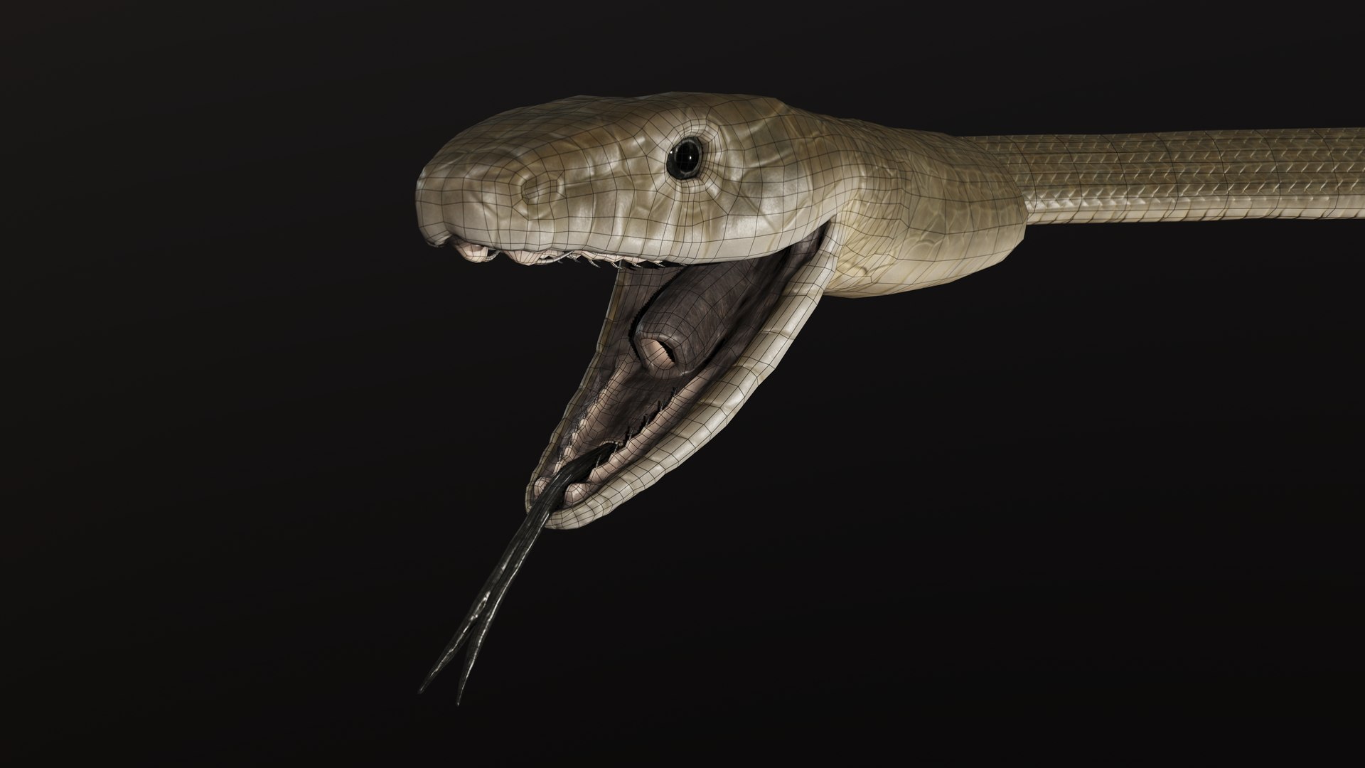 snake black mamba 3D model https://p.turbosquid.com/ts-thumb/NU/qyIRnZ/t2/pres_13/png/1607799316/1920x1080/fit_q87/e99c36ecf379b409c1bf47e3f61e53bed0c692a0/pres_13.jpg