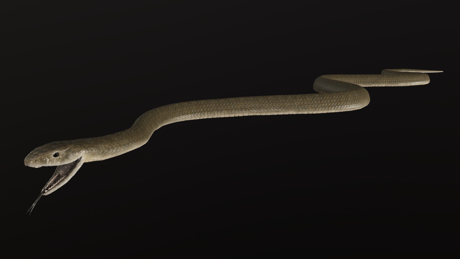 snake black mamba 3D model https://p.turbosquid.com/ts-thumb/NU/qyIRnZ/tE/pres_8/png/1607799319/1920x1080/fit_q87/2615f39461f044d155fca1255cfa4e223cde6a20/pres_8.jpg