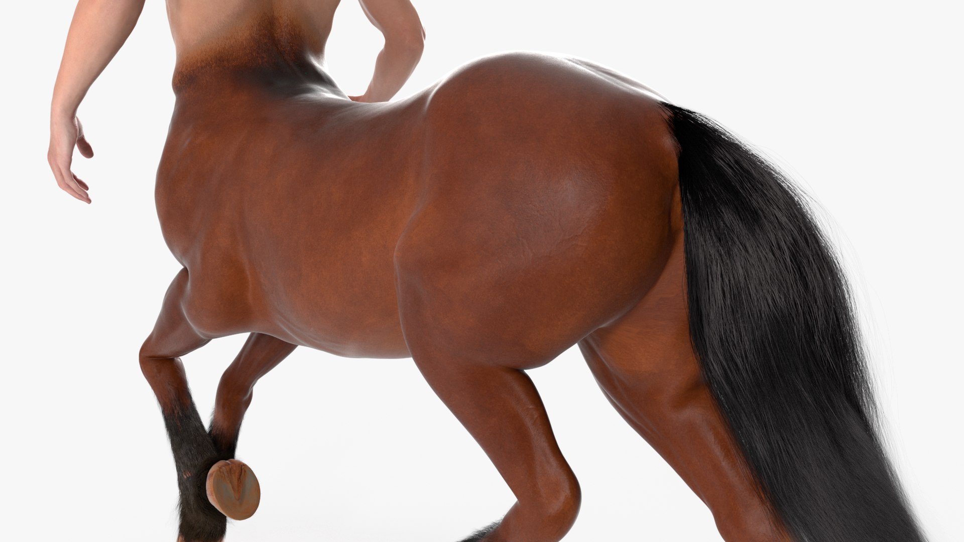 3D Male Centaur Walking Pose Fur For Maya Model - TurboSquid 2425202