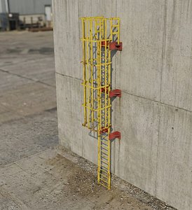 Industrial Fixed Safety Ladder with Cage
