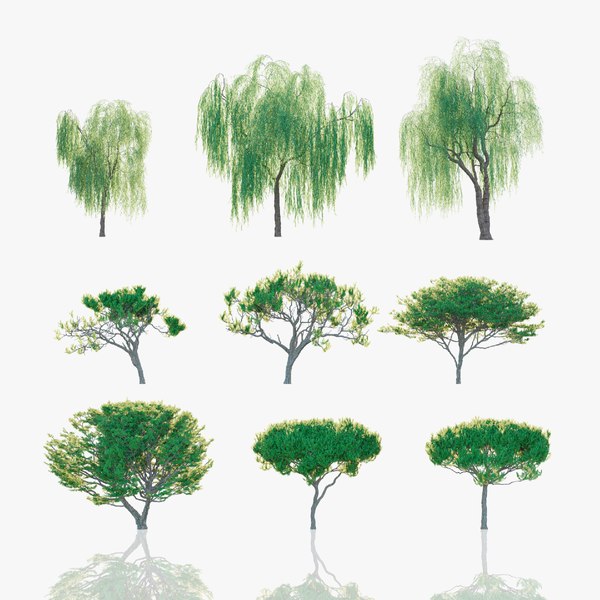 thornless honey locust tree 3d model
