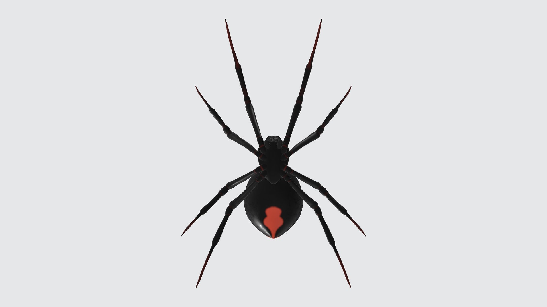 3D Spider Model - TurboSquid 2343270