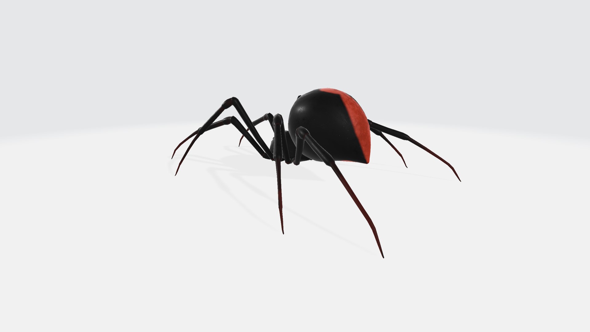 3D Spider Model - TurboSquid 2343270