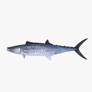 fish mackerel 3d model