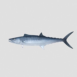 fish mackerel 3d model