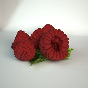 max raspberries fruit