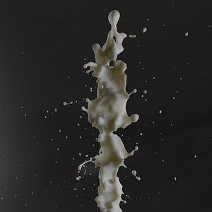 splash 3D model