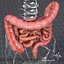 3d human large small intestines
