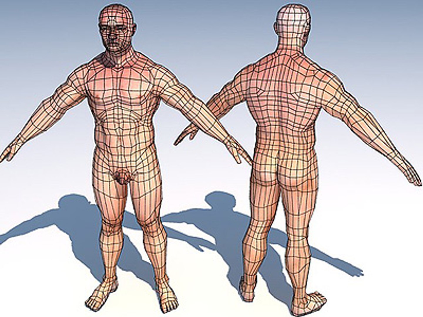 human urban 3d model https://p.turbosquid.com/ts-thumb/NV/Uz2JbV/gnl8HcBU/bigmannude02_wt/jpg/1147854108/1920x1080/fit_q87/946ebe082fcb956f6d4f7d06f0aefff59980e0f6/bigmannude02_wt.jpg