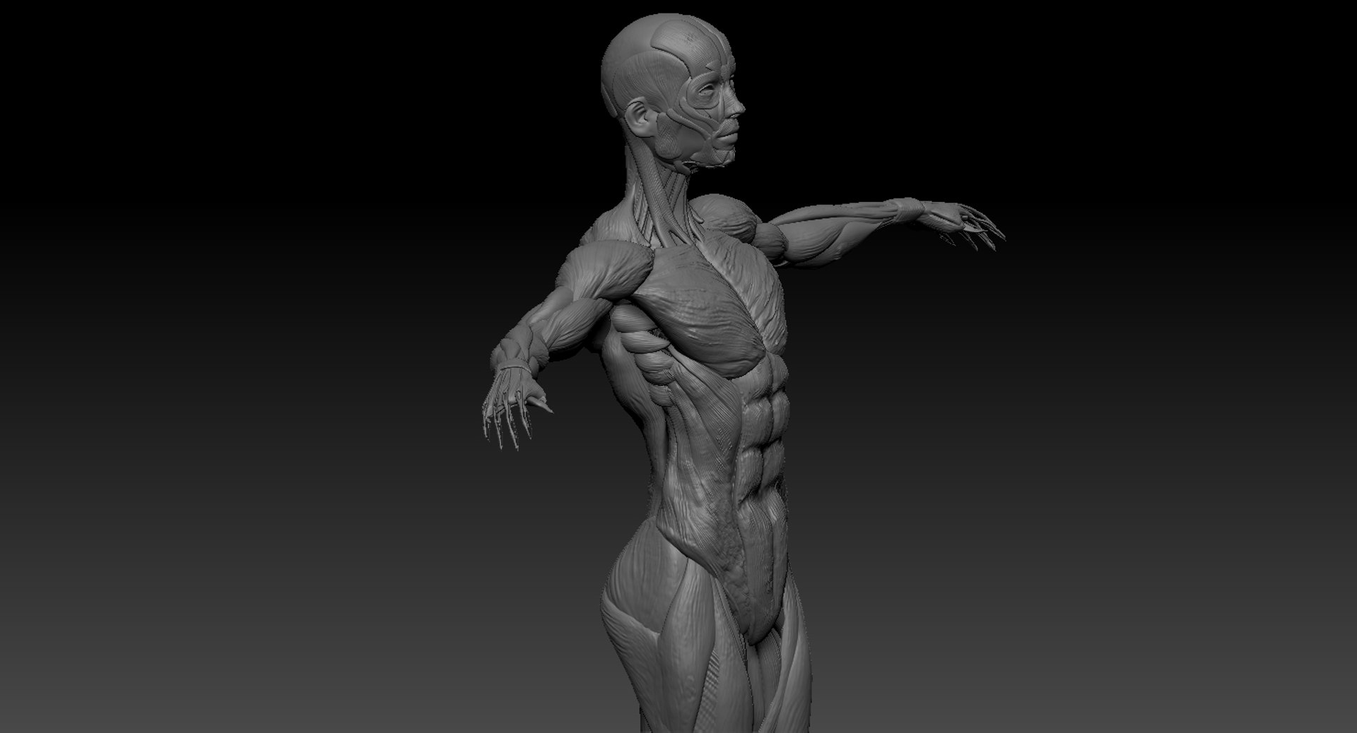 3D model muscular rig male - TurboSquid 1308983