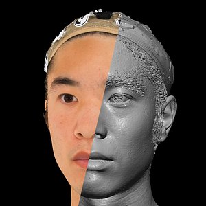 Asian Male 30s head scan 037