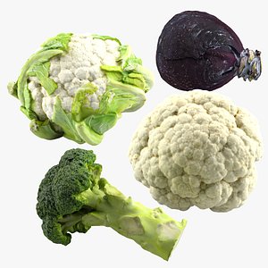 vegetables scan 3d c4d