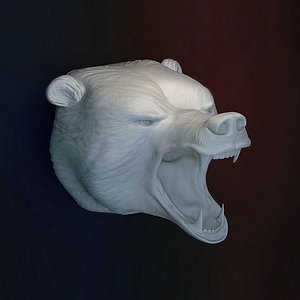 bear head with a grin