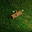 Coffre low poly