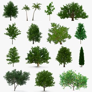 Summer Trees Collection 4