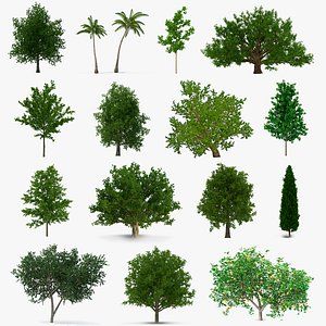 Summer Trees Collection 4