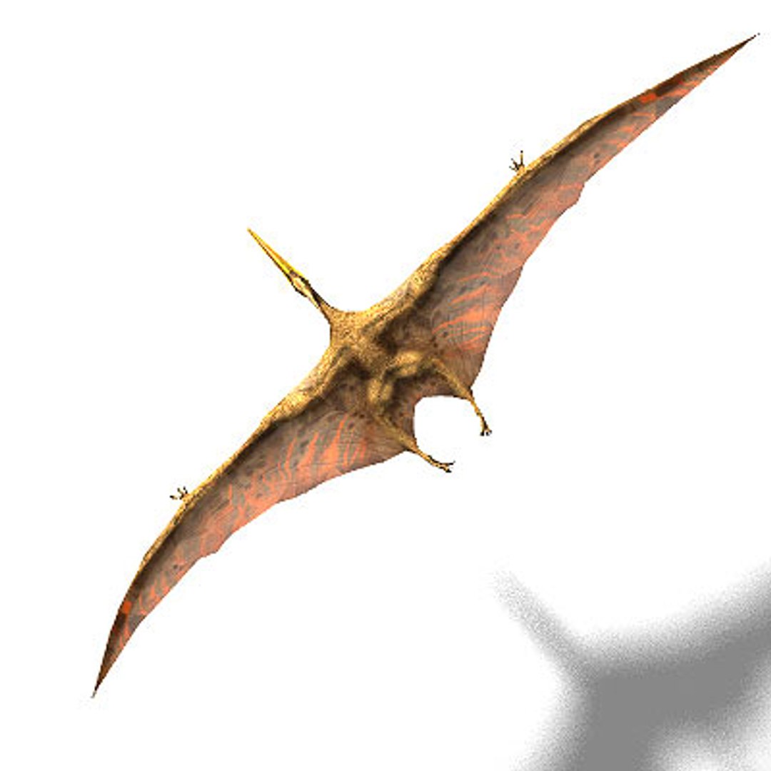 flying pterosaur 3d lwo