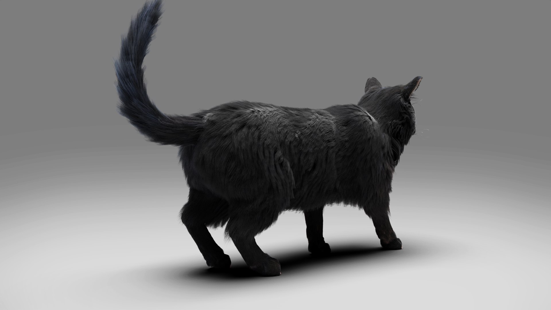 3D Fur Cat Black Rigged and Animated https://p.turbosquid.com/ts-thumb/NW/Ma3StR/DB/08/jpg/1667308456/1920x1080/fit_q87/e89b8ac99d47ca68d9b80c04b183dd7d6eb14dc1/08.jpg