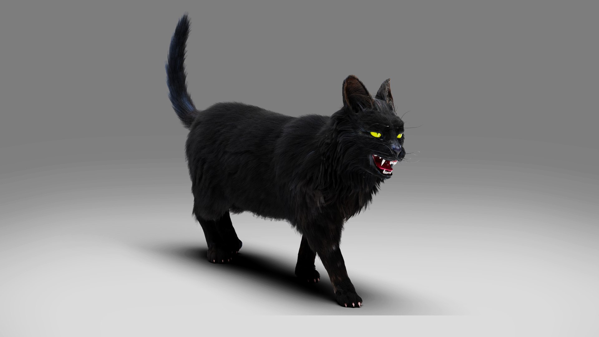 3D Fur Cat Black Rigged and Animated https://p.turbosquid.com/ts-thumb/NW/Ma3StR/Fy/06/jpg/1667308456/1920x1080/fit_q87/b26c97aa869dfc0d89b158f2a0e47bc05f403578/06.jpg