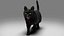 Gatto di pelliccia nero attrezzato e animato