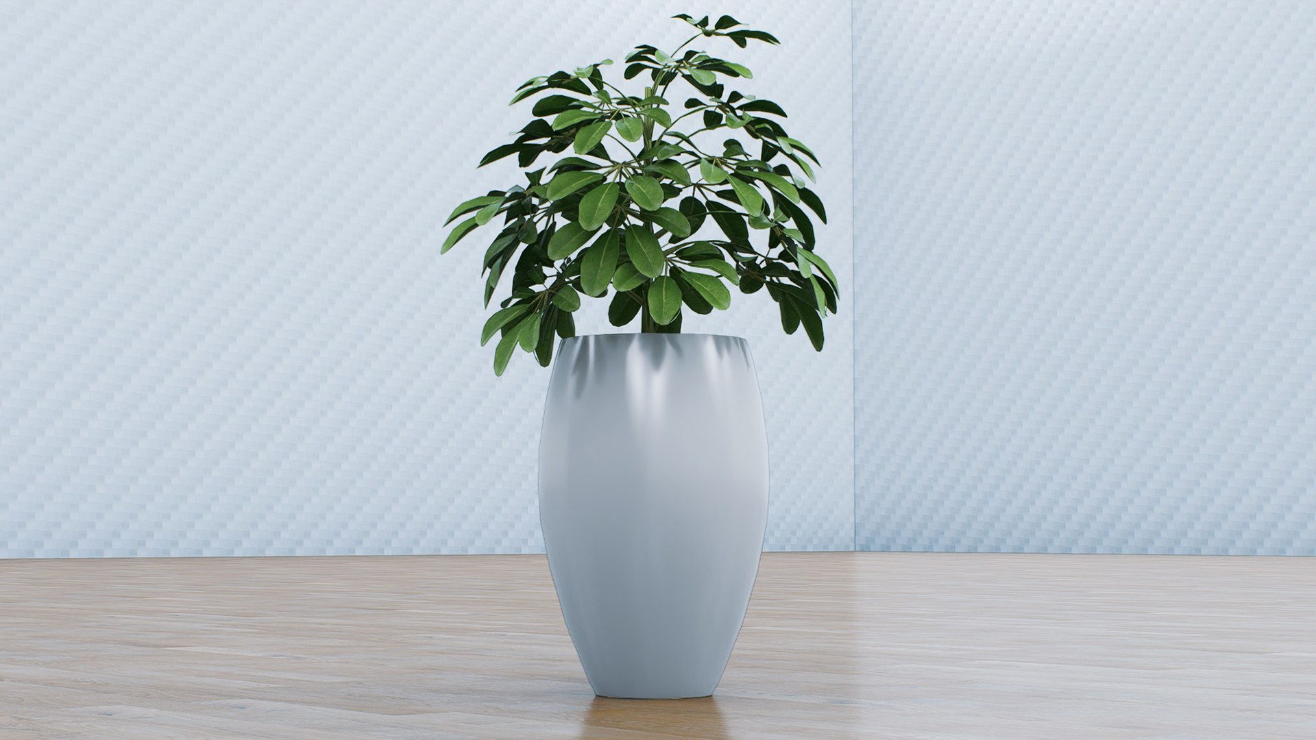 Schefflera 3D model https://p.turbosquid.com/ts-thumb/NW/U9otSC/7T/9/jpg/1765375590/1920x1080/fit_q87/d8313cd0944dca42d5f3525f6d4a934fdcfd7805/9.jpg