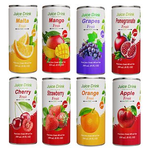 Fruit Juice Drink 3D model