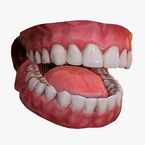 3D teeth mouth character model