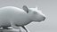 Norway Rat Rigged Xgen 3D model