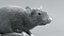 Norway Rat Rigged Xgen 3D model