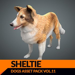 games dog sheltie real-time max