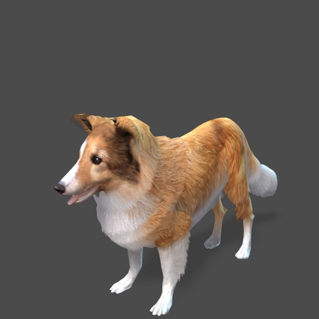 Games Dog Sheltie Real-time Max