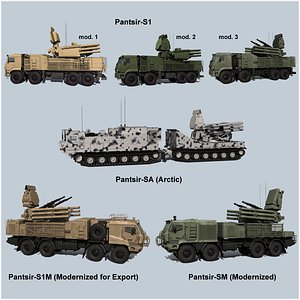 SA-22 Variants
