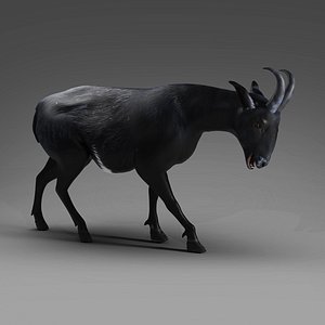 3D Goat 05 Rigged in Blender