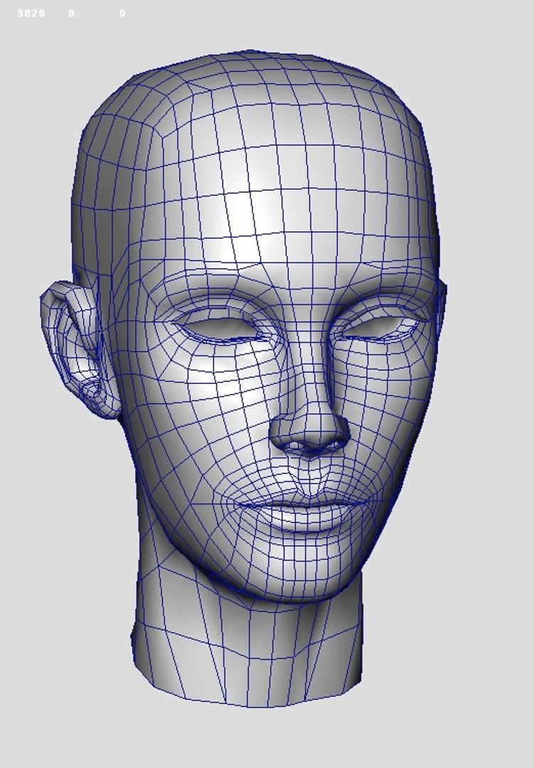 3d human heads faces model