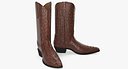 Crocodile Cowboy Boots