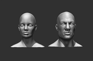 3D male female head model