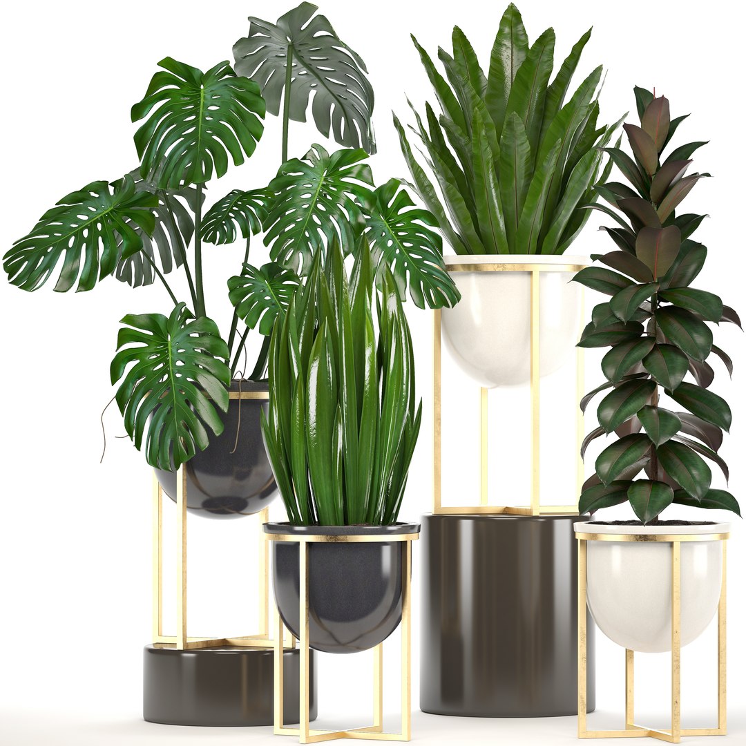 3D plants pots model - TurboSquid 1299536