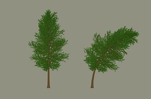 3D model Tree