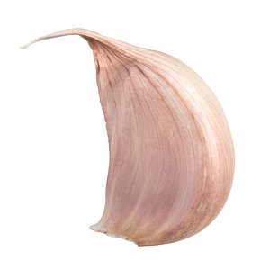Highly Detailed Garlic Clove Scan