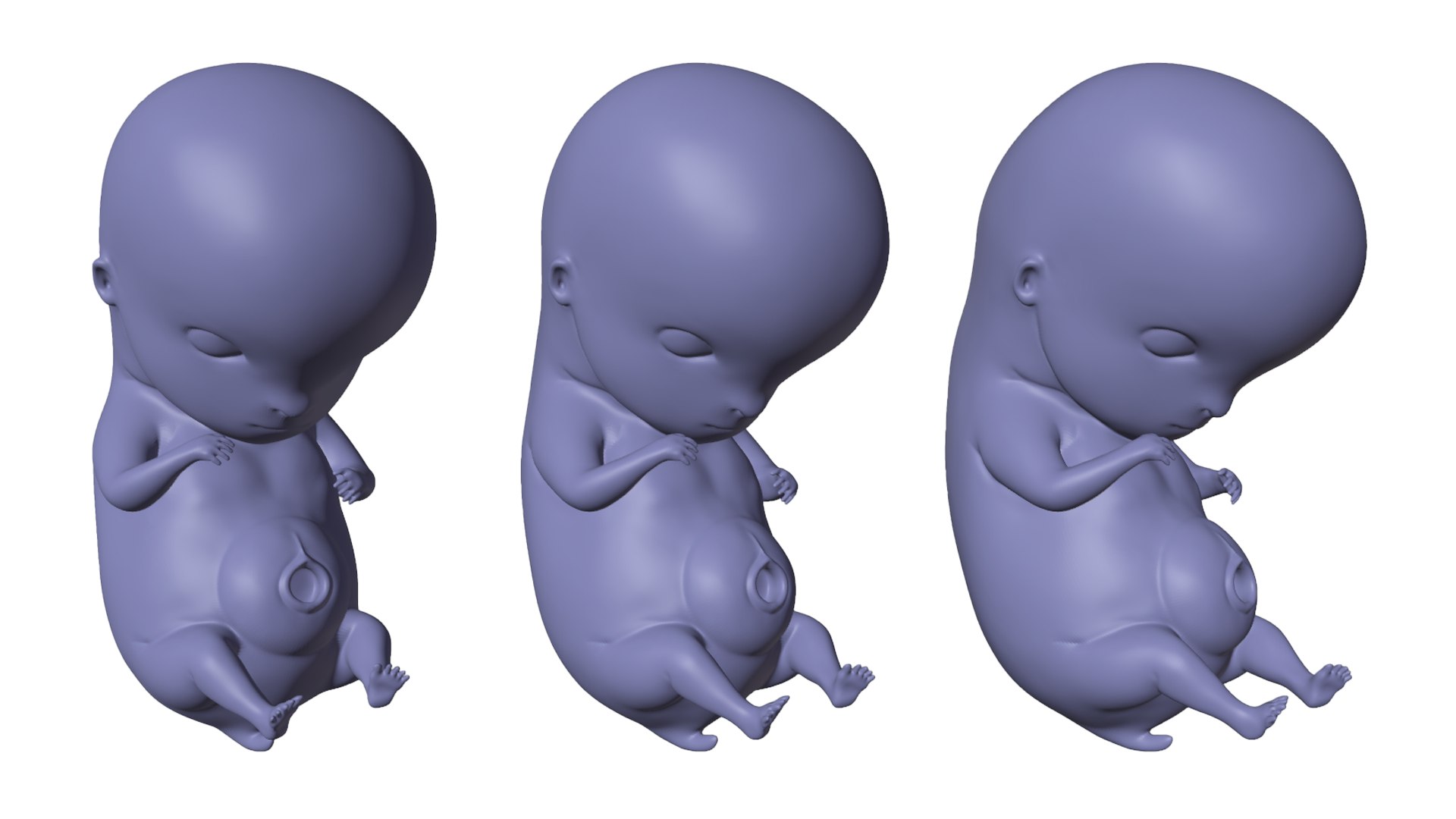 6 Weeks Human embryonic Baby Stages 3D model TurboSquid 2036032
