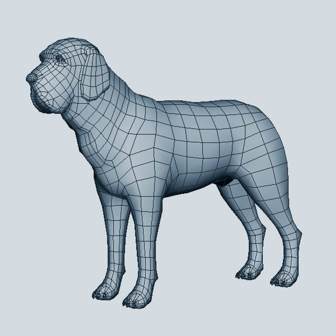 3d fila brasileiro https://p.turbosquid.com/ts-thumb/NX/aTG6sj/Edf46gFK/filabrasileiro05/jpg/1405351193/1920x1080/fit_q87/142c162cba191f823197c220a6655124f02275da/filabrasileiro05.jpg