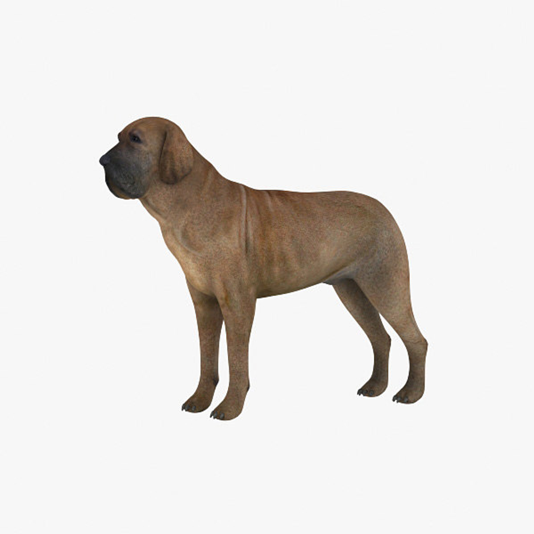 3d fila brasileiro https://p.turbosquid.com/ts-thumb/NX/aTG6sj/LwY2m6lF/filabras_camera01_thumbnail_10001.jpgc164762e1b0d4599b09c26df660ec23coriginal/jpg/1405351938/1920x1080/turn_fit_q99/d54ad0de76d3a0ad0686551a242f81e755df1bad/filabras_camera01_thumbnail_10001.jpgc164762e1b0d4599b09c26df660ec23coriginal-1.jpg