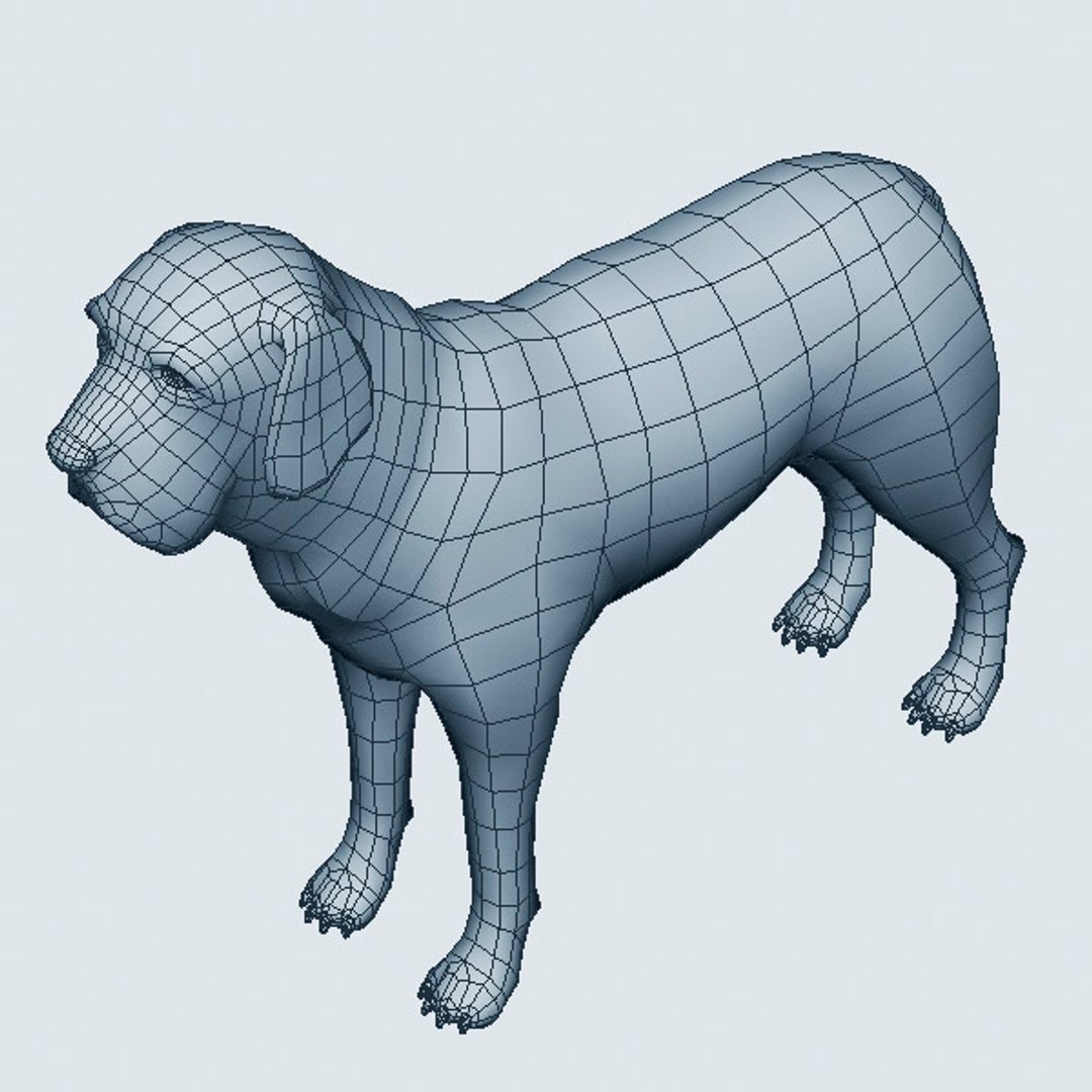 3d fila brasileiro https://p.turbosquid.com/ts-thumb/NX/aTG6sj/SoUb09fX/filabrasileiro06/jpg/1405351193/1920x1080/fit_q87/6b804538754fd326d68baa1a8bbfd213fa1c7a02/filabrasileiro06.jpg