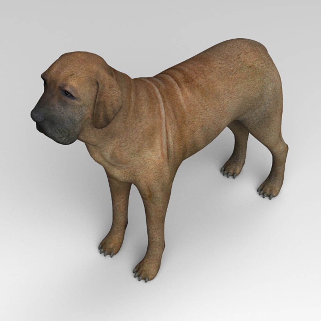 3d fila brasileiro https://p.turbosquid.com/ts-thumb/NX/aTG6sj/c7kQdaZY/filabrasileiro03/jpg/1405351193/1920x1080/fit_q87/e8d0294fb6c471d8d4af86c7a6ccd3572193ac77/filabrasileiro03.jpg