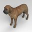 Fila Brasileiro