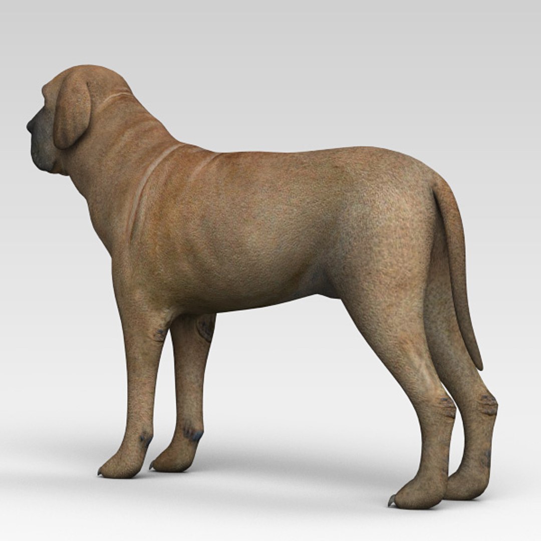 3d fila brasileiro https://p.turbosquid.com/ts-thumb/NX/aTG6sj/gpM1rXFR/filabrasileiro02/jpg/1405351193/1920x1080/fit_q87/011819fc7fb7345ce69fc2732dfbd9ba3196f55c/filabrasileiro02.jpg
