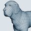 Fila Brasileiro