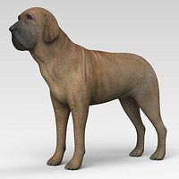 Fila Brasileiro