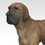 Fila Brasileiro